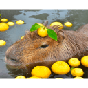 capybara emoji
