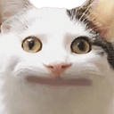 stare emoji